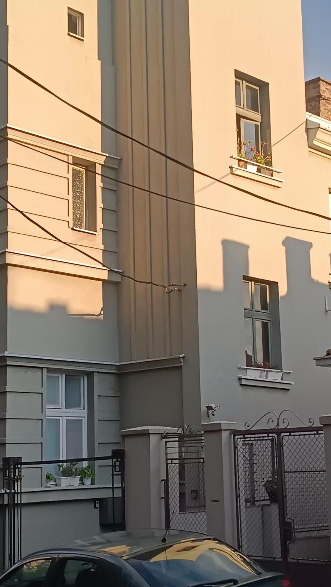 Jelena Apartment Belgrád Kültér fotó